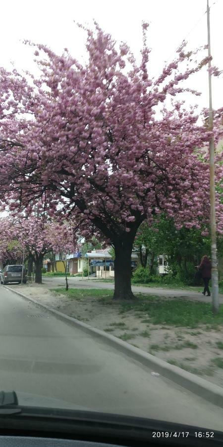 White Coral Club Vandrerhjem Košice Eksteriør bilde